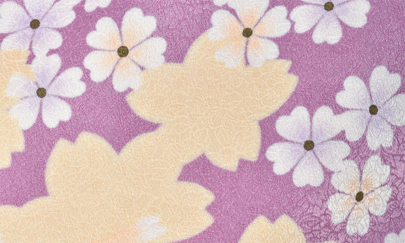 卒業袴[薄紫地に桜]