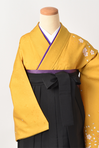 卒業袴[からし×桜]