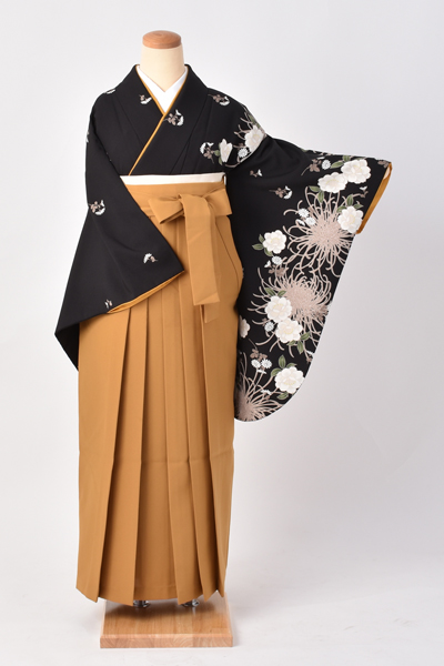 卒業袴[黒地に大輪菊]