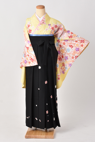 卒業袴[レモン色地に咲き誇る桜]