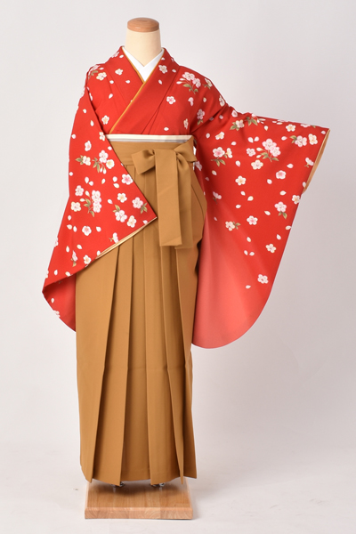 卒業袴[紅色地に桜]