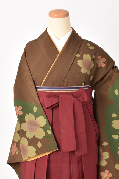 卒業袴[茶色地に桜]