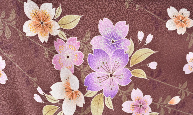 卒業袴[チョコレート色地に枝垂れ桜]
