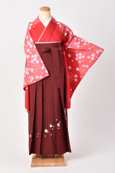 卒業袴[赤とピンクの染め分けに桜]