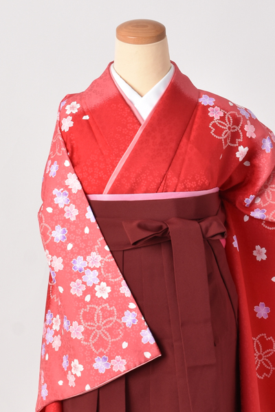 卒業袴[赤とピンクの染め分けに桜]