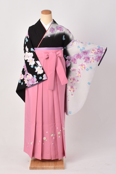 卒業袴[白と黒の染め分けの胡蝶蘭]