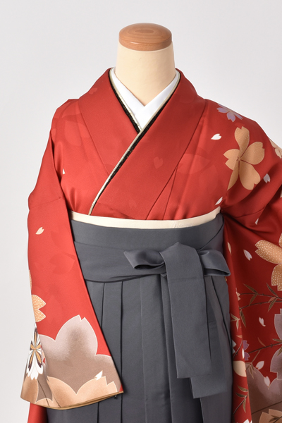 卒業袴[茜色に桜]