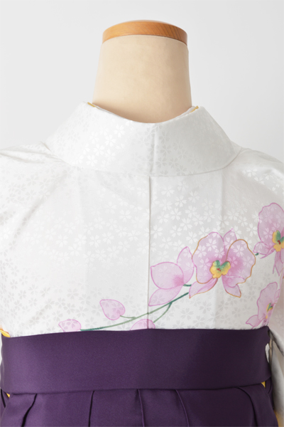 卒業袴［白/胡蝶蘭］