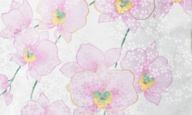 卒業袴［白/胡蝶蘭］