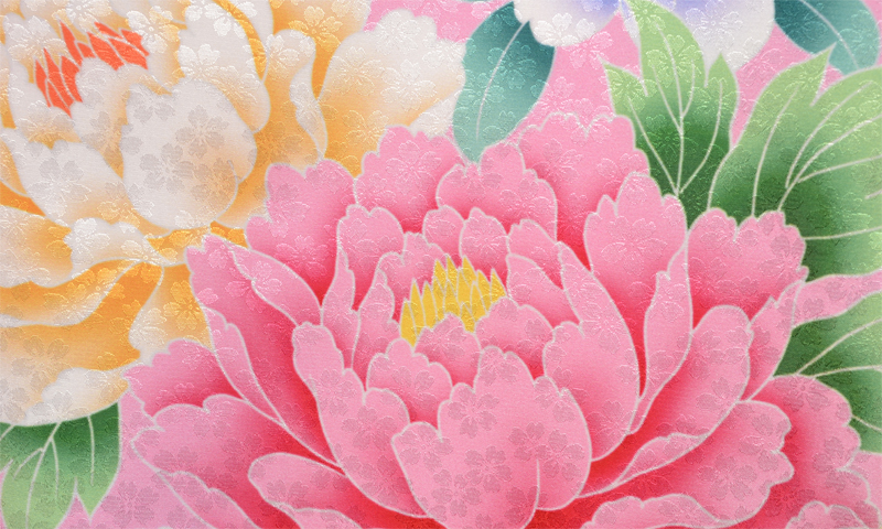 卒業袴［牡丹色地に牡丹模様］