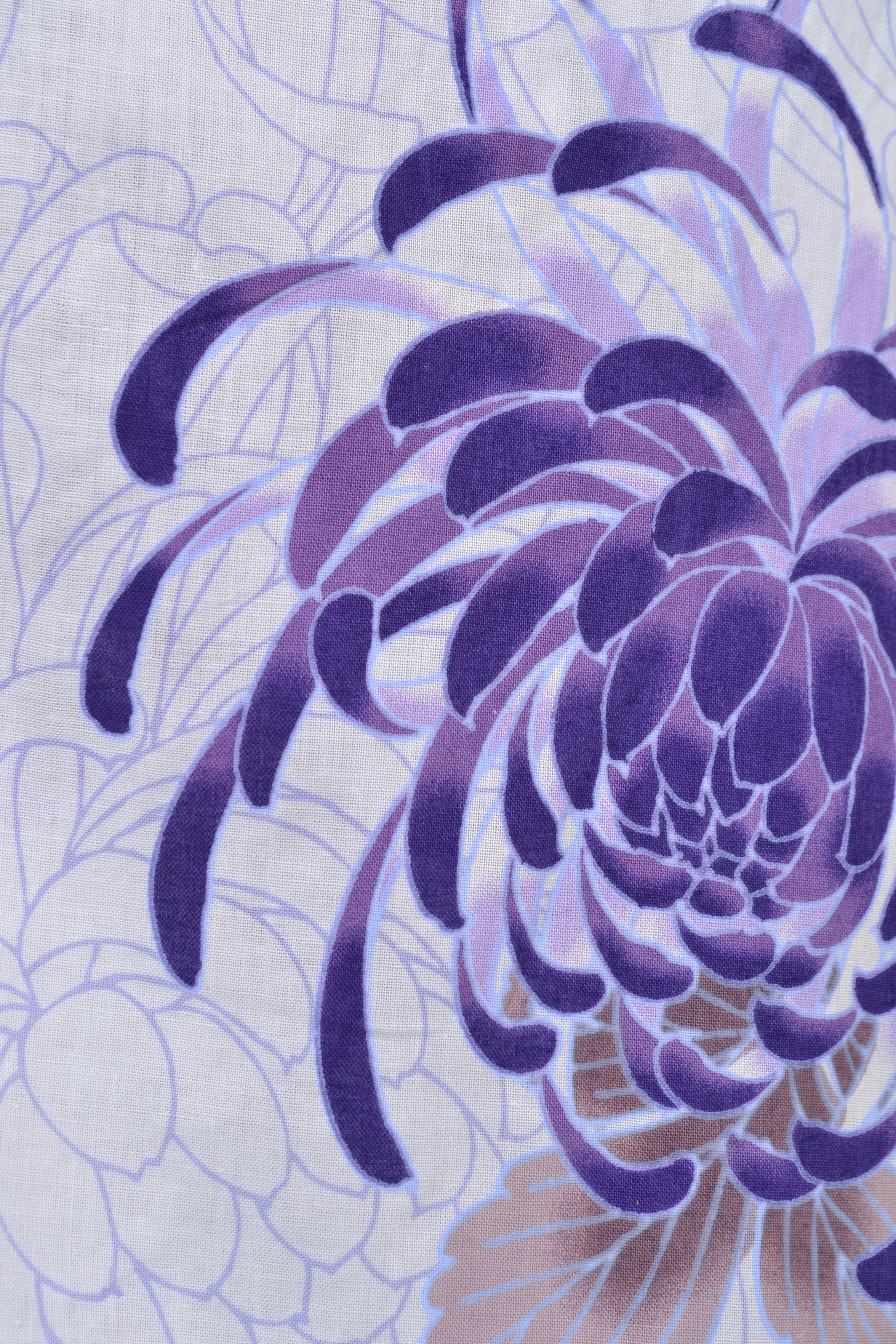 浴衣［白地の菊模様］