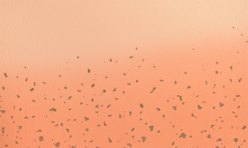 卒業袴[ペールオレンジ]