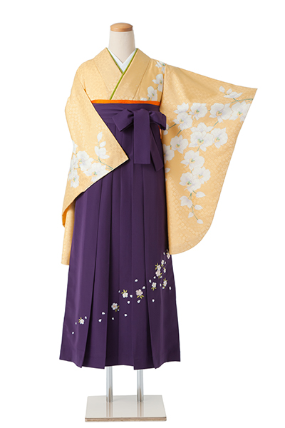 卒業袴［黄色/胡蝶蘭］