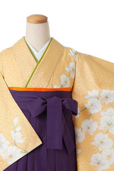 卒業袴［黄色/胡蝶蘭］