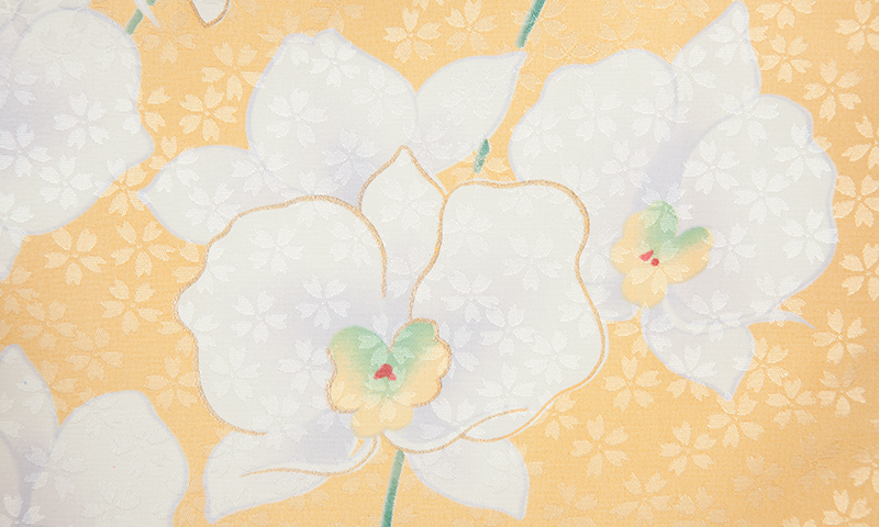 卒業袴［黄色/胡蝶蘭］