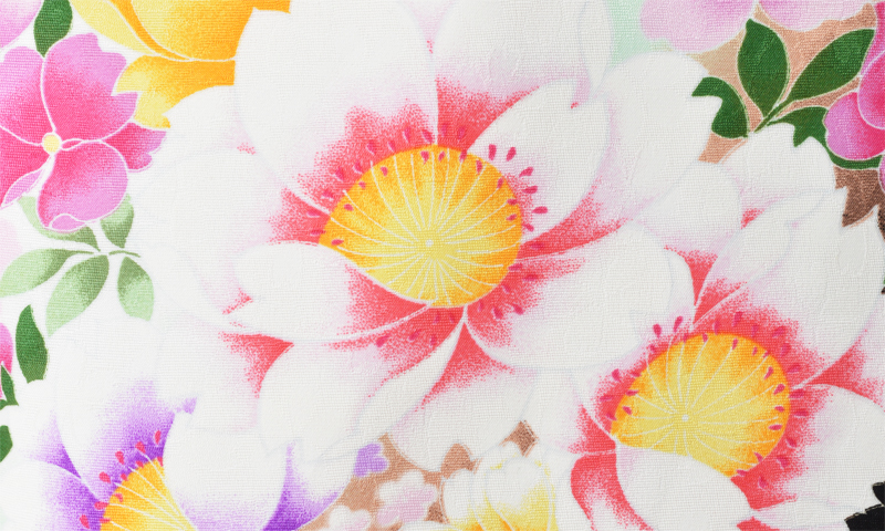 卒業袴［白地に袖黒ばかし］