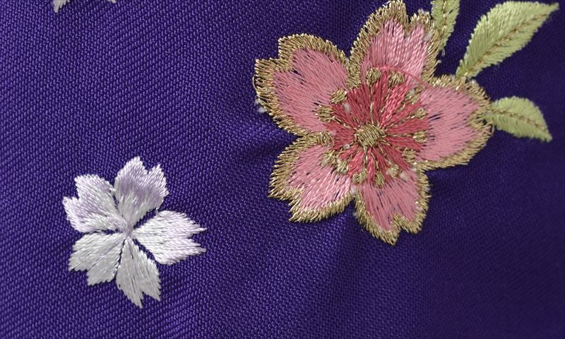 卒業袴［モダン/桜］