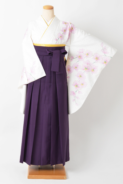 卒業袴［白/胡蝶蘭］