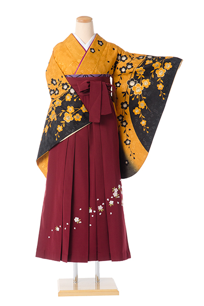 卒業袴［からし色/桜］