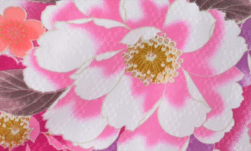 卒業袴［カラフル/百花繚乱］