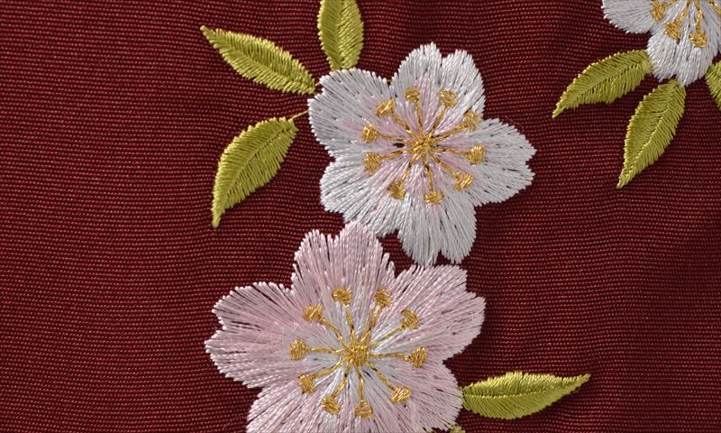 卒業袴［白/和モダン橘］