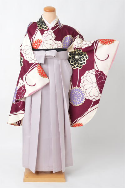 卒業袴【白×桑の実色/菊】