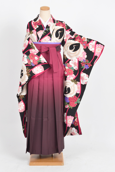 卒業袴［振袖・黒地に鶴］