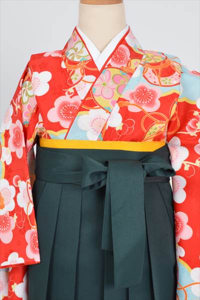 【小学六年生用】卒業袴