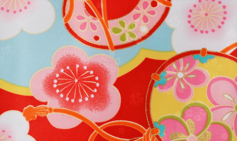 【小学六年生用】卒業袴