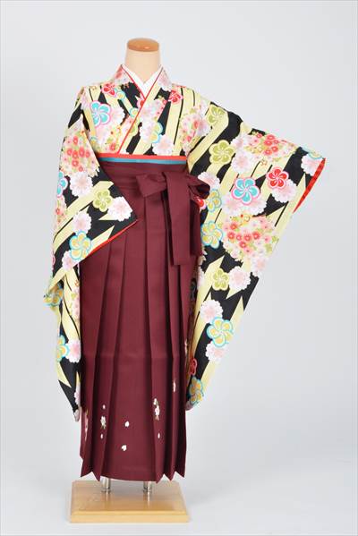 【小学六年生用】卒業袴