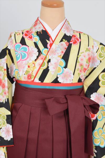 【小学六年生用】卒業袴