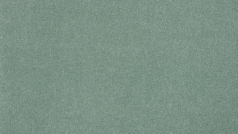 色無地［鮫小紋/紋なし］