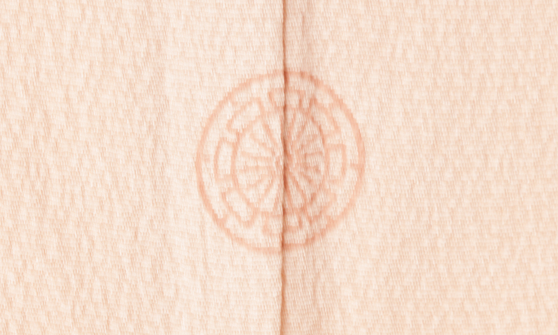 色留袖[淡ピンク//スワトウ刺繍]