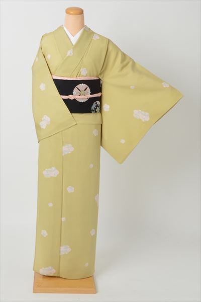 夏物(小紋・名古屋帯)