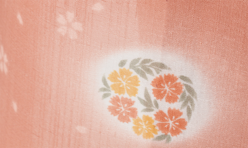 夏物(正絹小紋・名古屋帯)