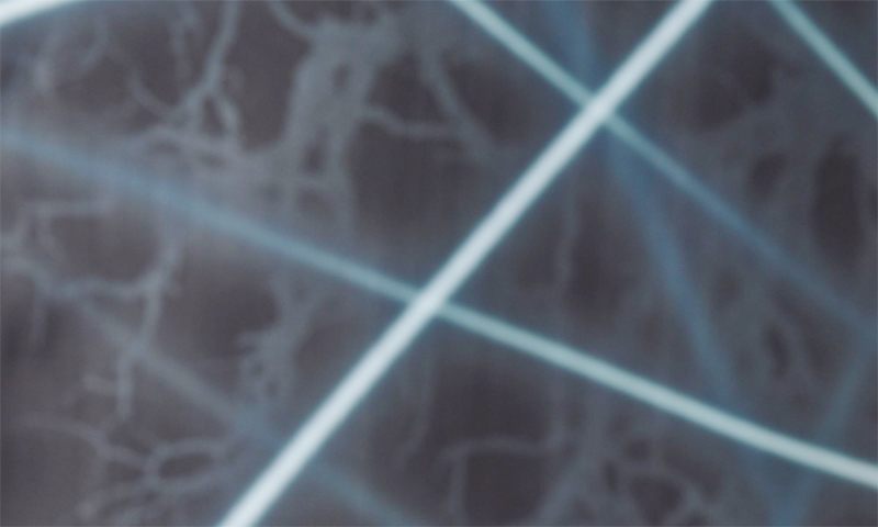 浴衣［Lサイズ171～179cm/黒地に光線模様]