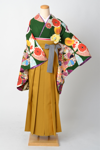 卒業袴［はいばら・緑地の菊模様］