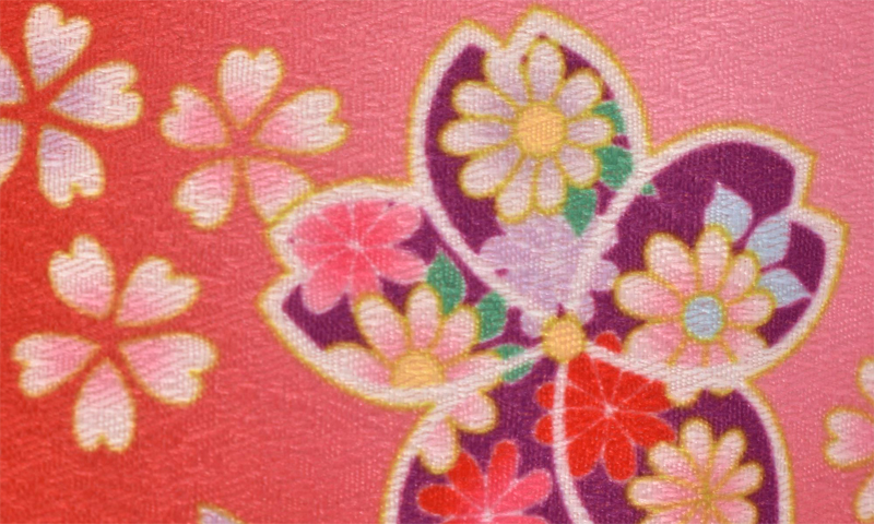 一歳女児袴〔赤にピンク袴〕