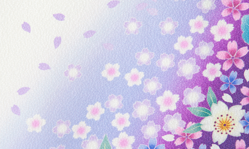 振袖(白地に紫のボカシ地・花々)