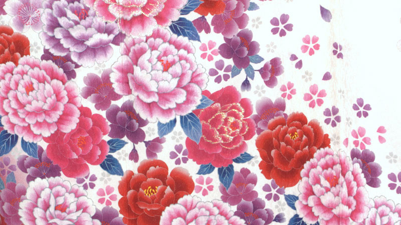 振袖(白に赤ボカシ地・花]