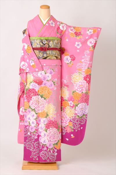 振袖[ピンクに大輪の菊、牡丹］