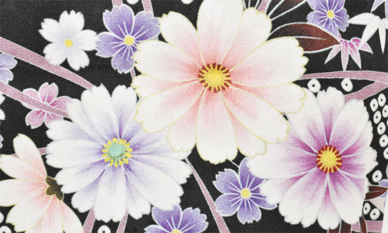 卒業袴[振袖・黒花々]