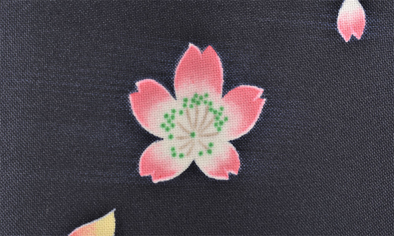 卒業袴(紺地、ラメ・さくら着物/紺地桜プリント袴)