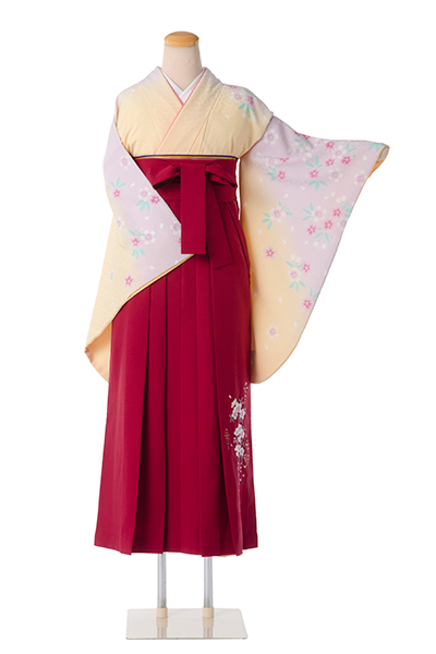 卒業袴(クリーム、藤色ボカシ地・花々着物/エンジ桜刺繍袴)