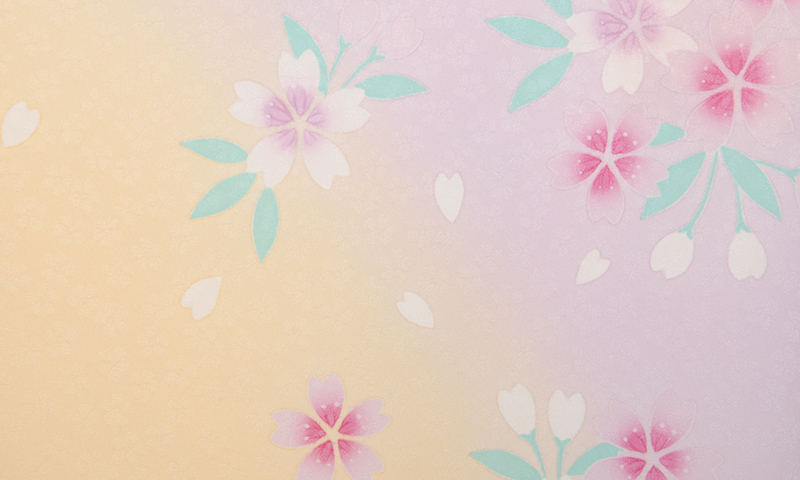 卒業袴(クリーム、藤色ボカシ地・花々着物/エンジ桜刺繍袴)