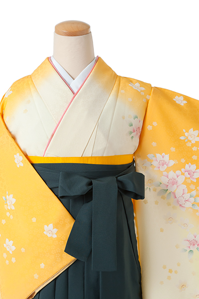 卒業袴[クリーム・黄色ボカシ地/緑地桜刺繍袴]