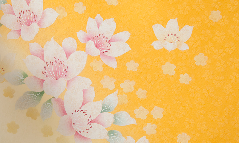 卒業袴[クリーム・黄色ボカシ地/緑地桜刺繍袴]