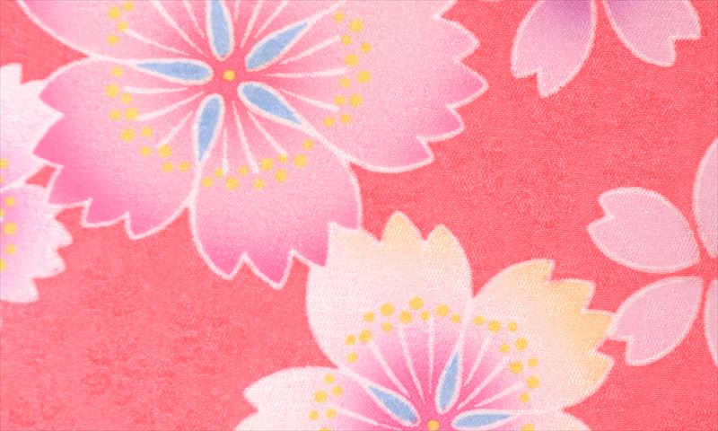 卒業袴[赤・桜柄]