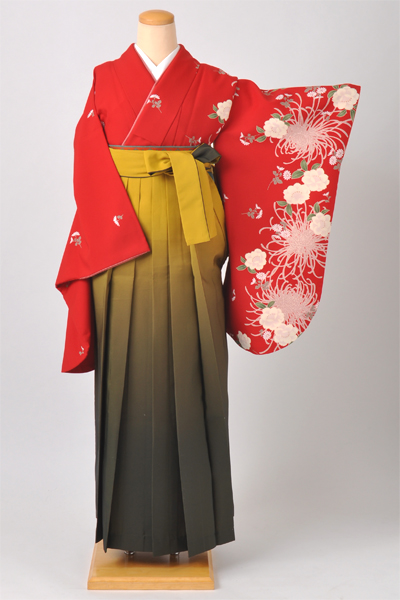 卒業袴[赤地・菊模様]