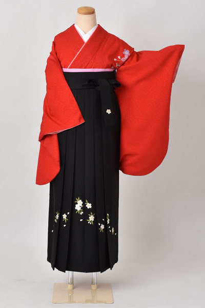 卒業袴［桜刺繍×刺繍入り］